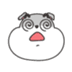 Pug shocked
